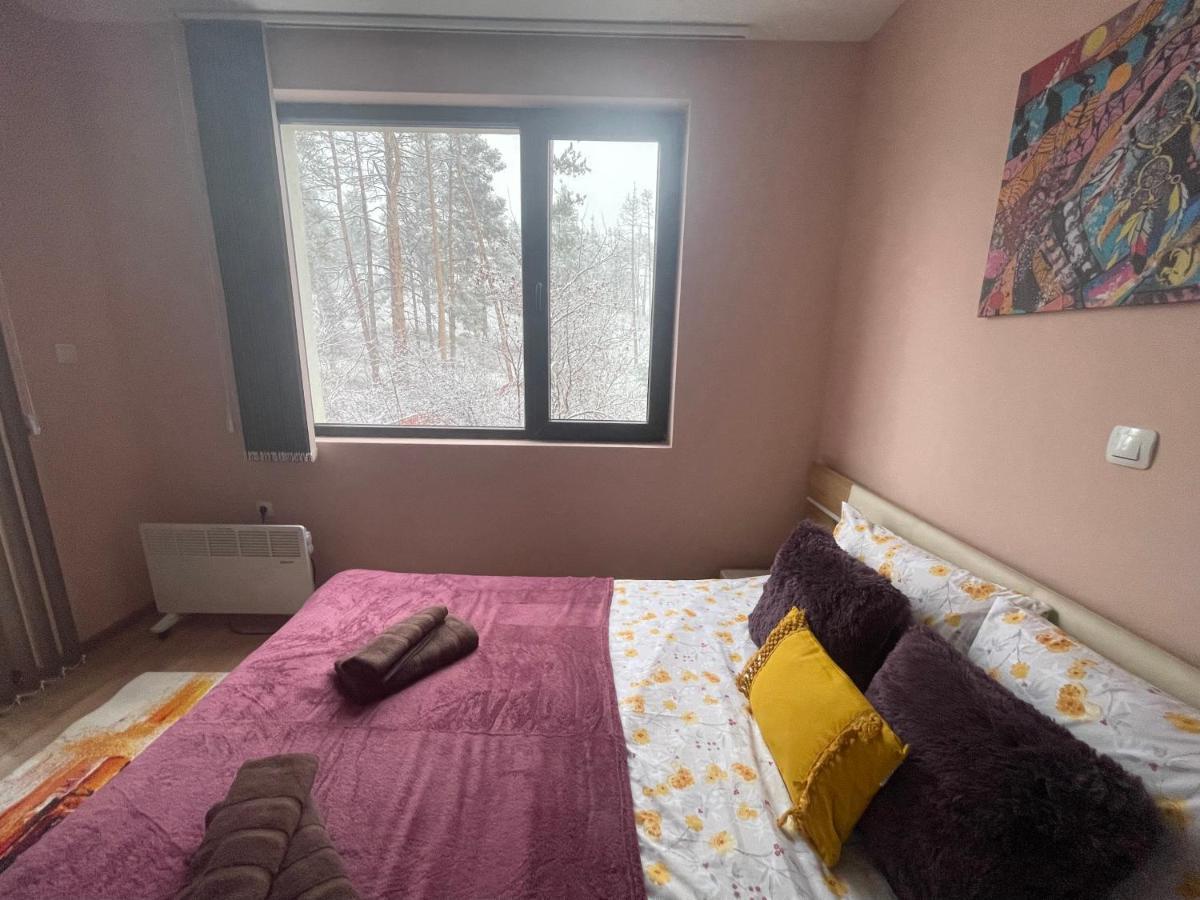 Nikol 2 Deluxe Apartamento Velingrad Exterior foto
